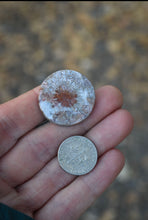 Load image into Gallery viewer, Fossilized Coral Custom Necklace or Ring