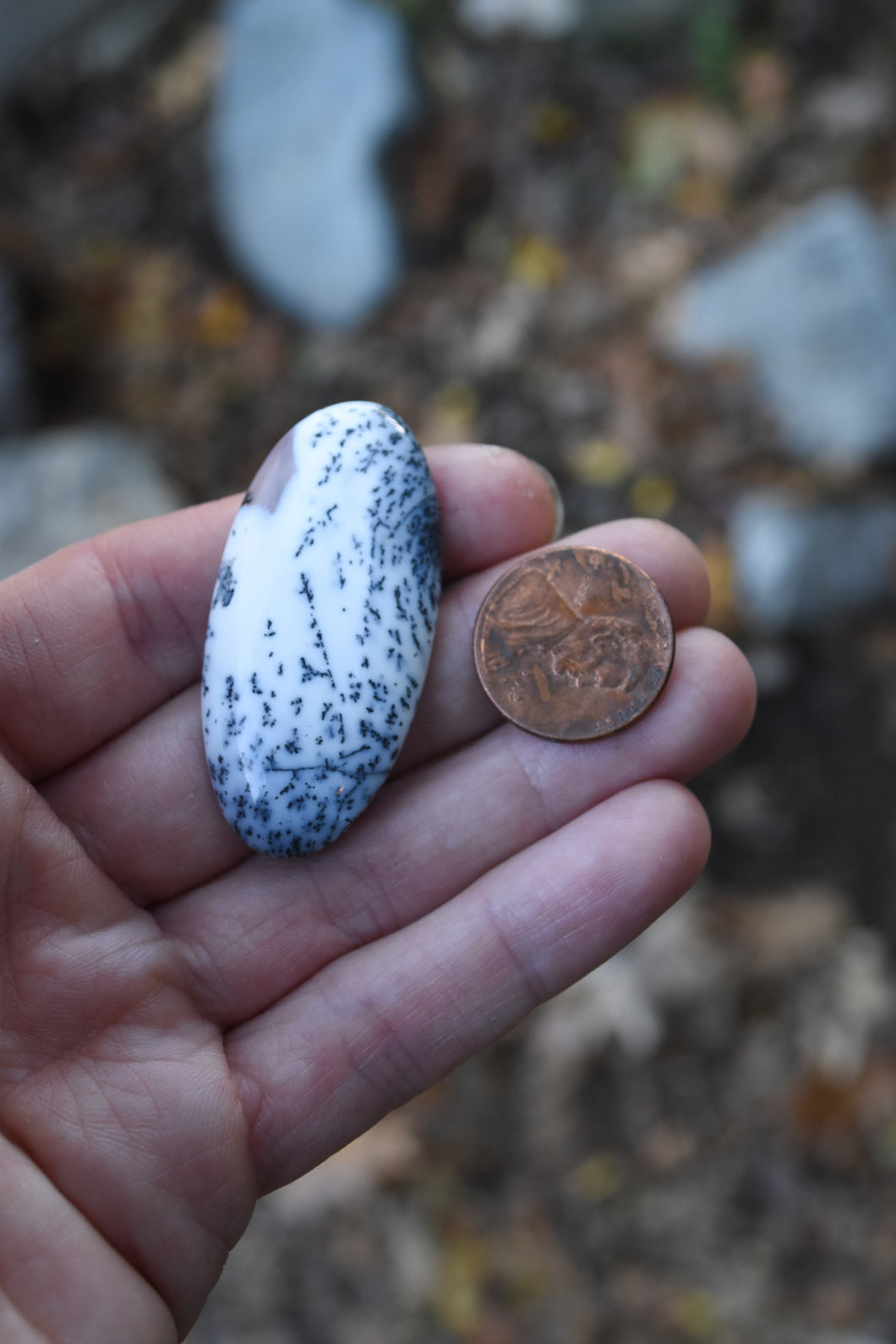 Dendritic Opal Custom Cuff or Necklace