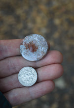 Load image into Gallery viewer, Fossilized Coral Custom Necklace or Ring