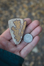 Load image into Gallery viewer, Dendritic Limestone Custom Necklace