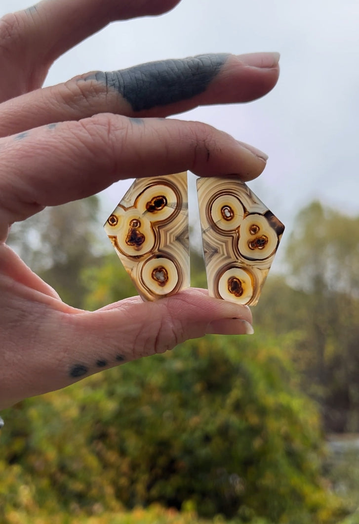 Montana Agate Custom Earrings