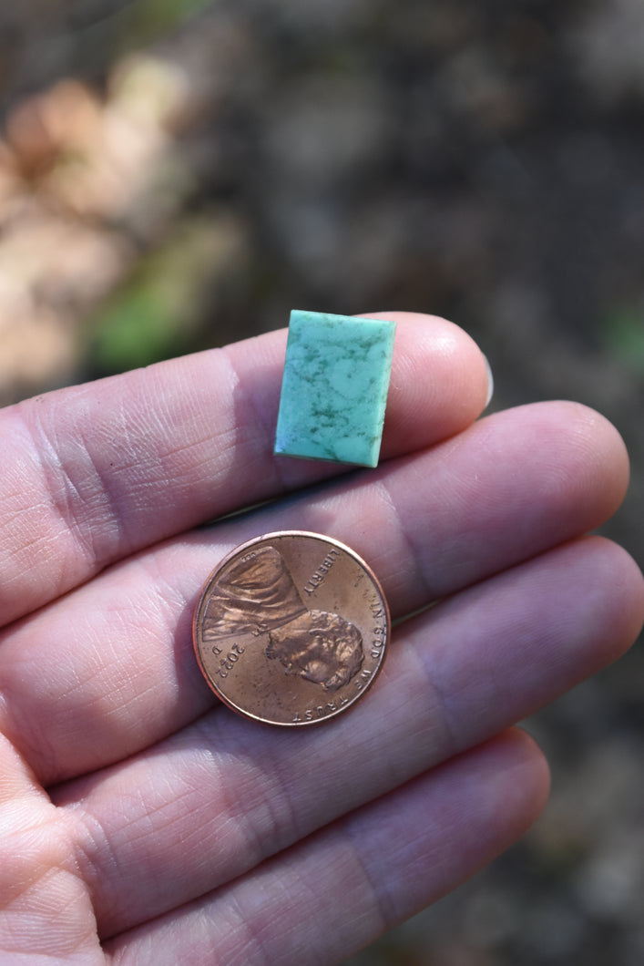 Variscite Custom Necklace or Ring